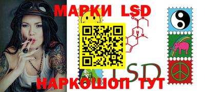mdpv Новодвинск