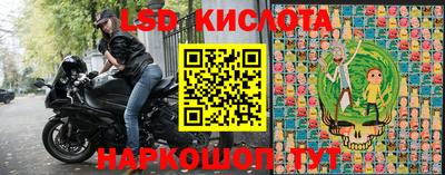 Альфа ПВП Новозыбков