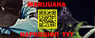 Альфа ПВП Новозыбков