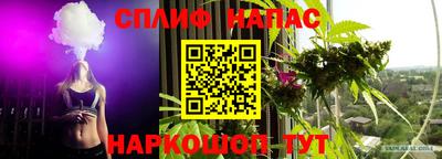 mdpv Новокубанск