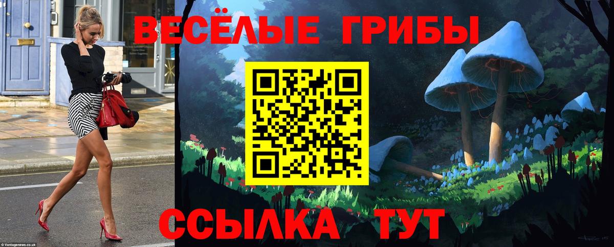 Советский  где купить наркотик  Вход с VPN  Псилоцибиновые грибы прущие грибы  Галлюциногенные грибы Magic Shrooms 
